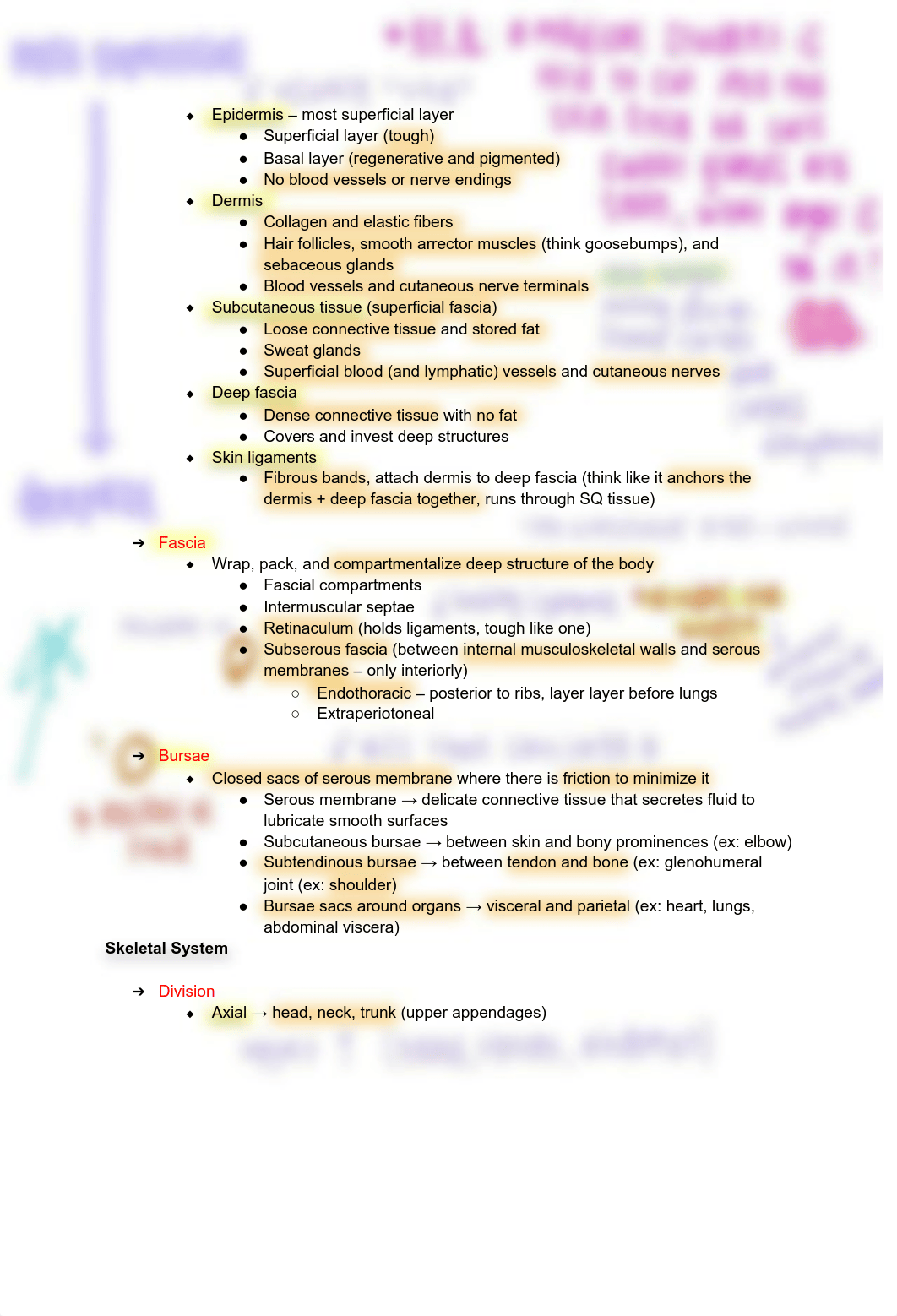 Orientation to Anatomy Notes.pdf_d6uf5pvnh62_page2