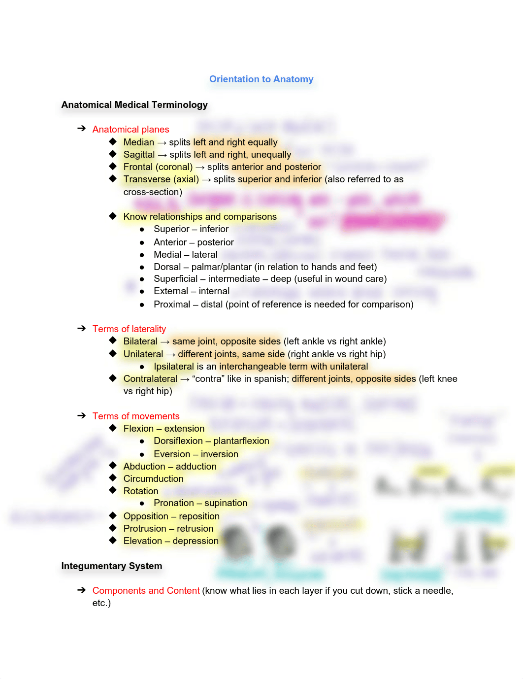 Orientation to Anatomy Notes.pdf_d6uf5pvnh62_page1