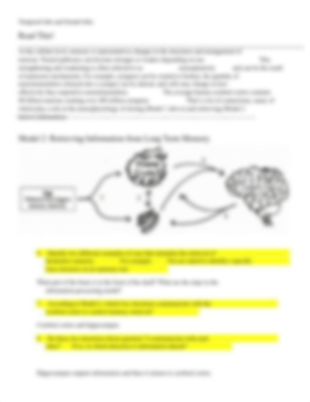 Amygdala and Hippocampus POGIL revised.docx_d6uka6tkw6t_page3