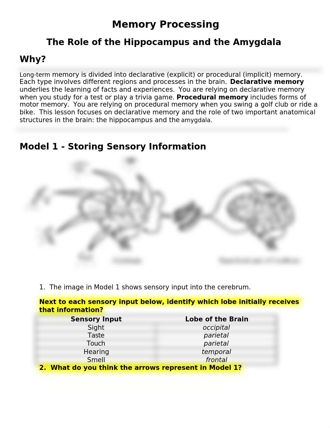 Amygdala and Hippocampus POGIL revised.docx_d6uka6tkw6t_page1