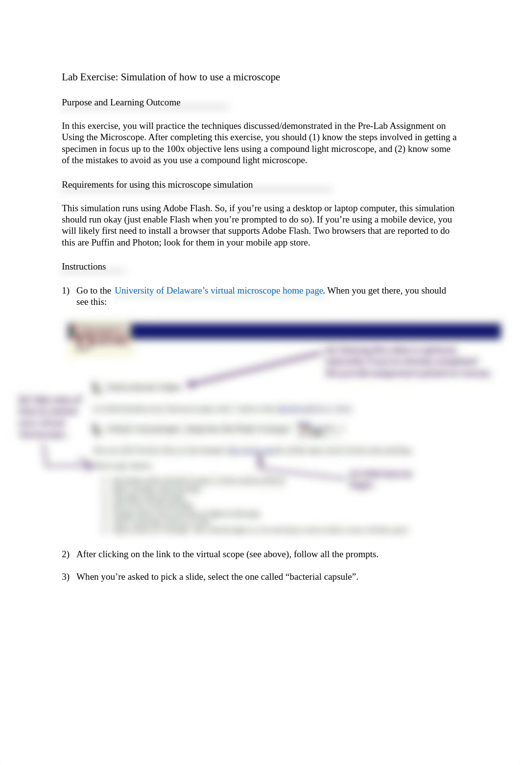 Online Lab Microscopy Simulation of how to use a microscope 2020.docx_d6upsnnwtr3_page1