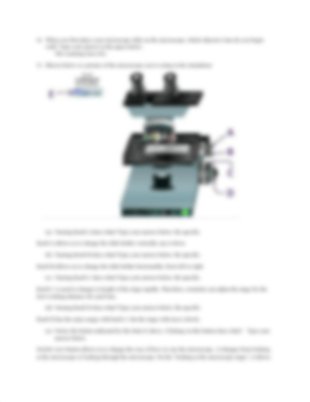 Online Lab Microscopy Simulation of how to use a microscope 2020.docx_d6upsnnwtr3_page2