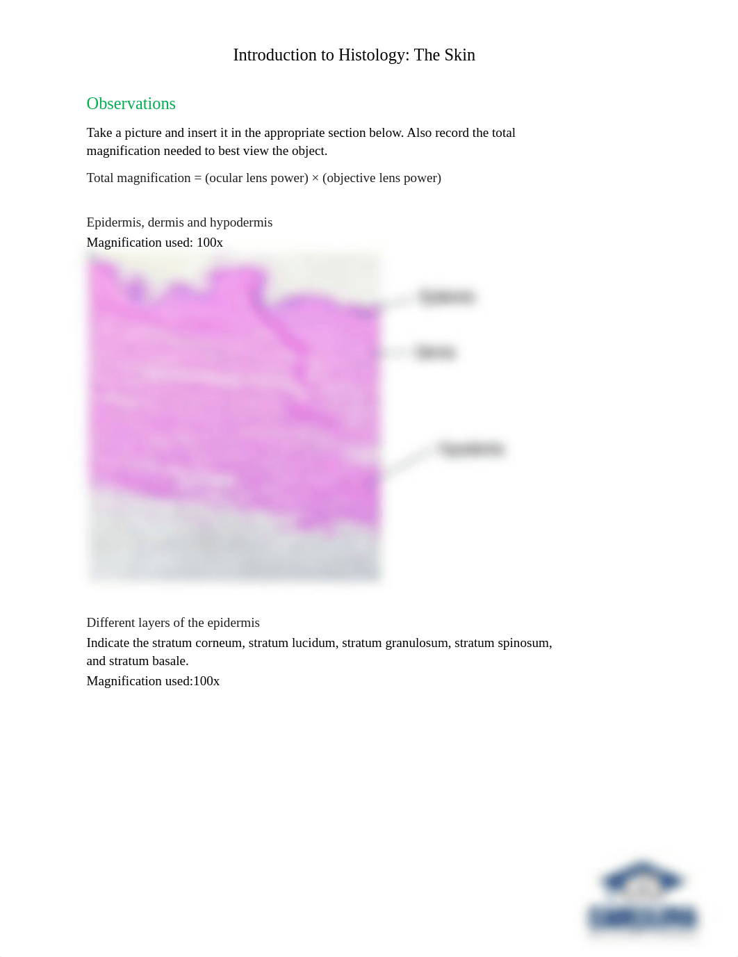 BIO2101 Introduction to Histology_The Skin_Answer sheet.docx.pdf_d6ur0mih8fq_page1