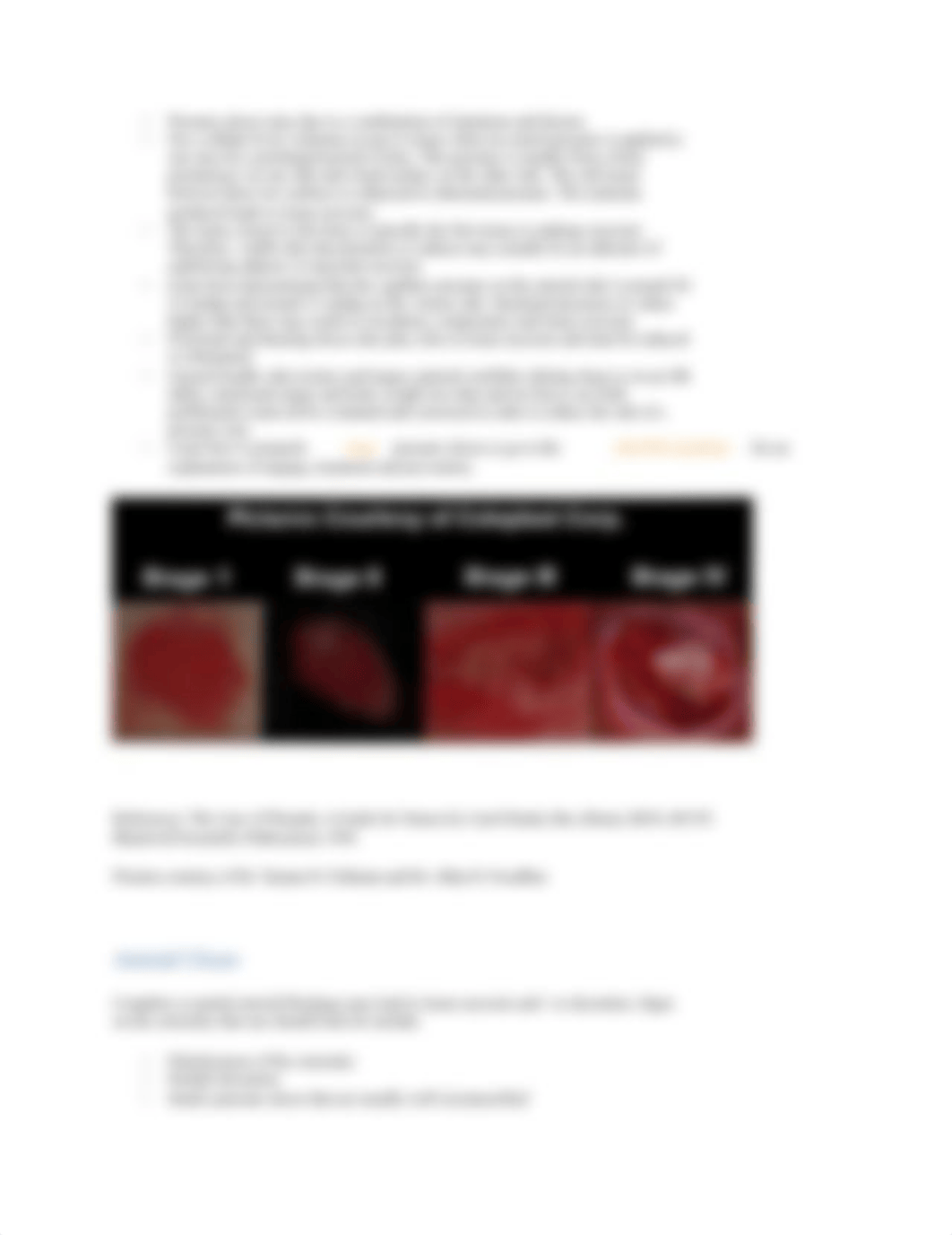 Phases of Wound Healing (1).docx_d6v0iplp0ho_page4