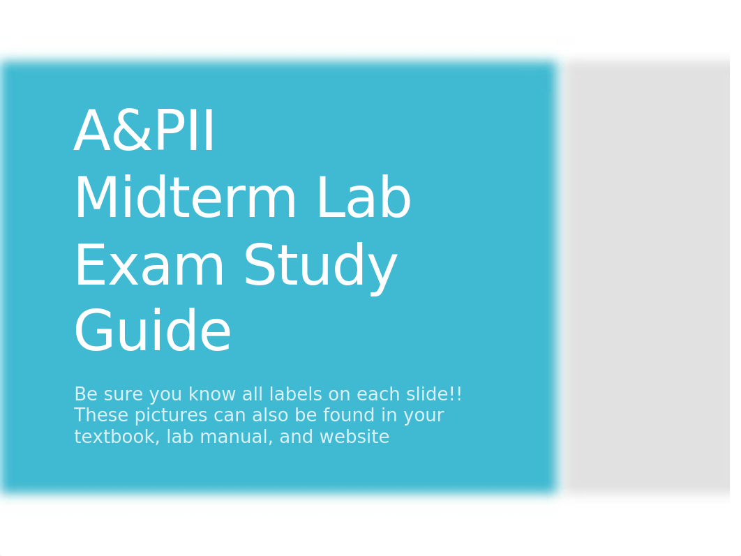 Anatomy and Physiology II Midterm Lab Study Guide.pptx_d6v4iwflcs9_page1