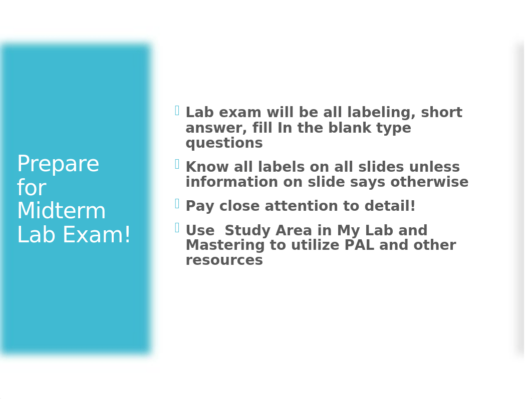 Anatomy and Physiology II Midterm Lab Study Guide.pptx_d6v4iwflcs9_page2