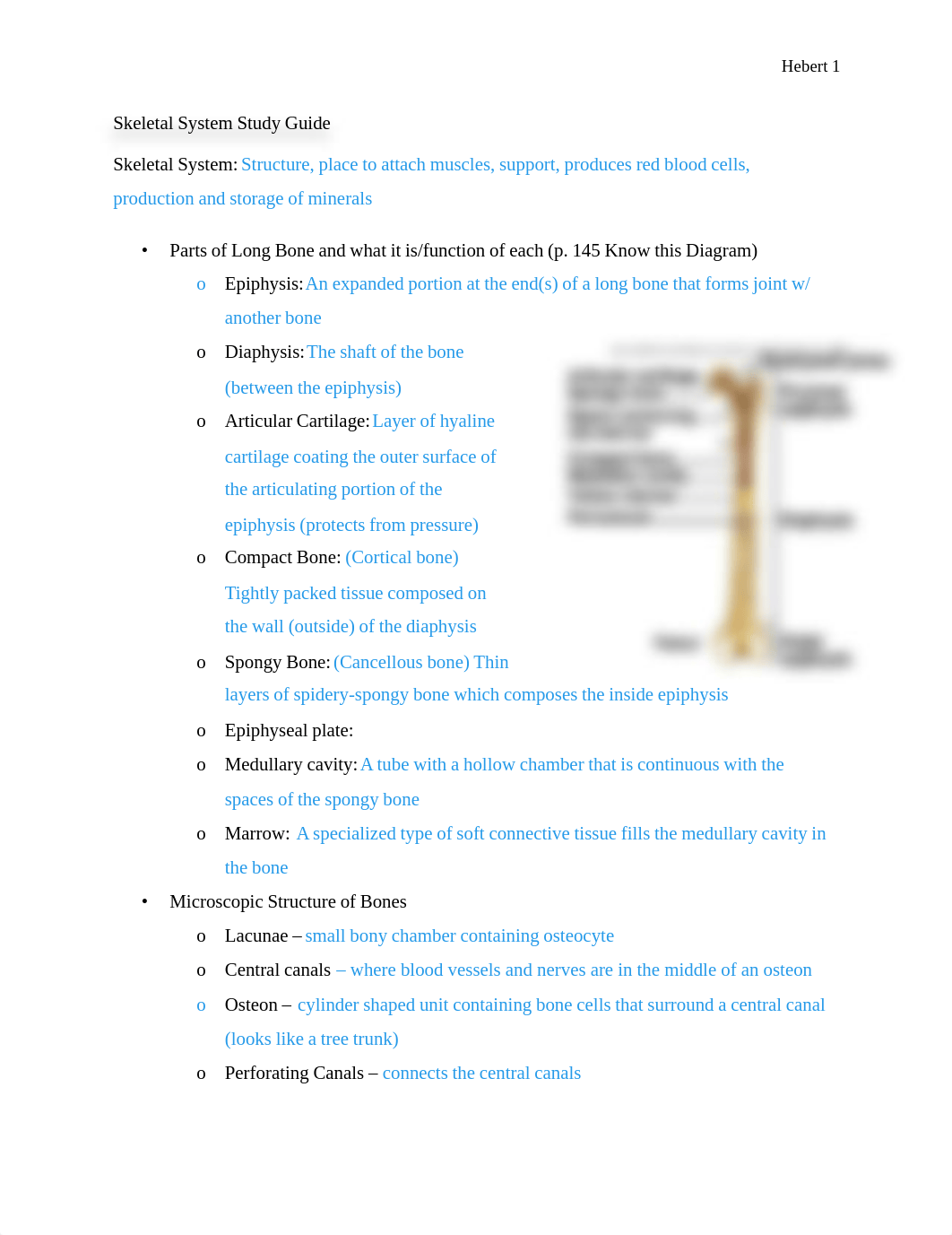 Unit 5 Skeletal System Study Guide (1).pdf_d6vds3qkrzl_page1