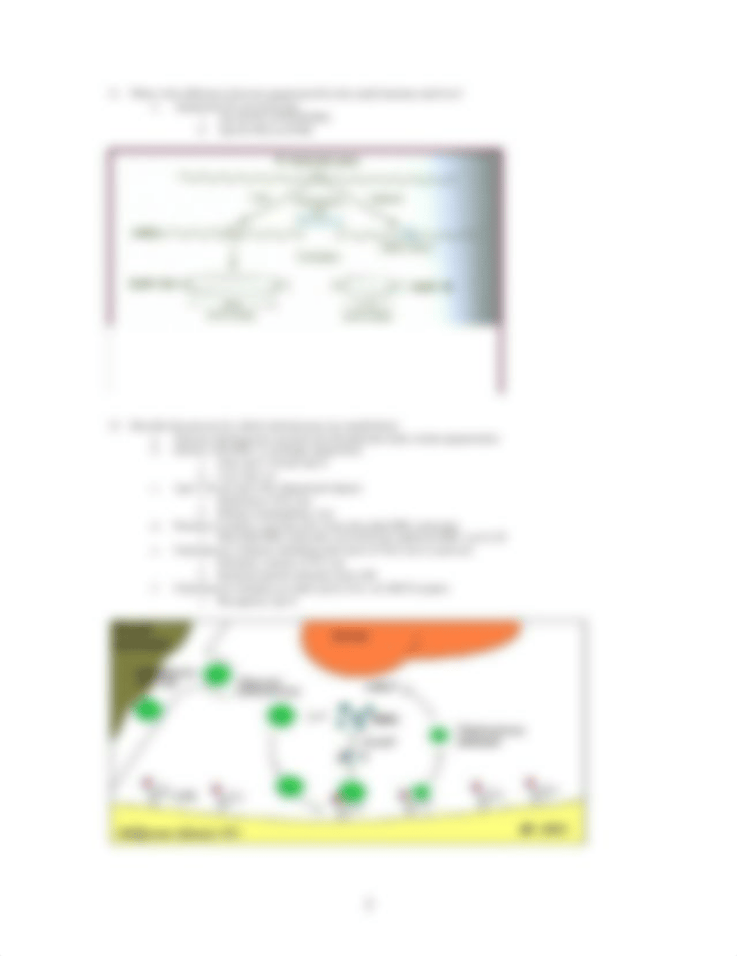 Biochemistry Review Questions - Lipoprotein Metabolism_d6vfkqeud2y_page3