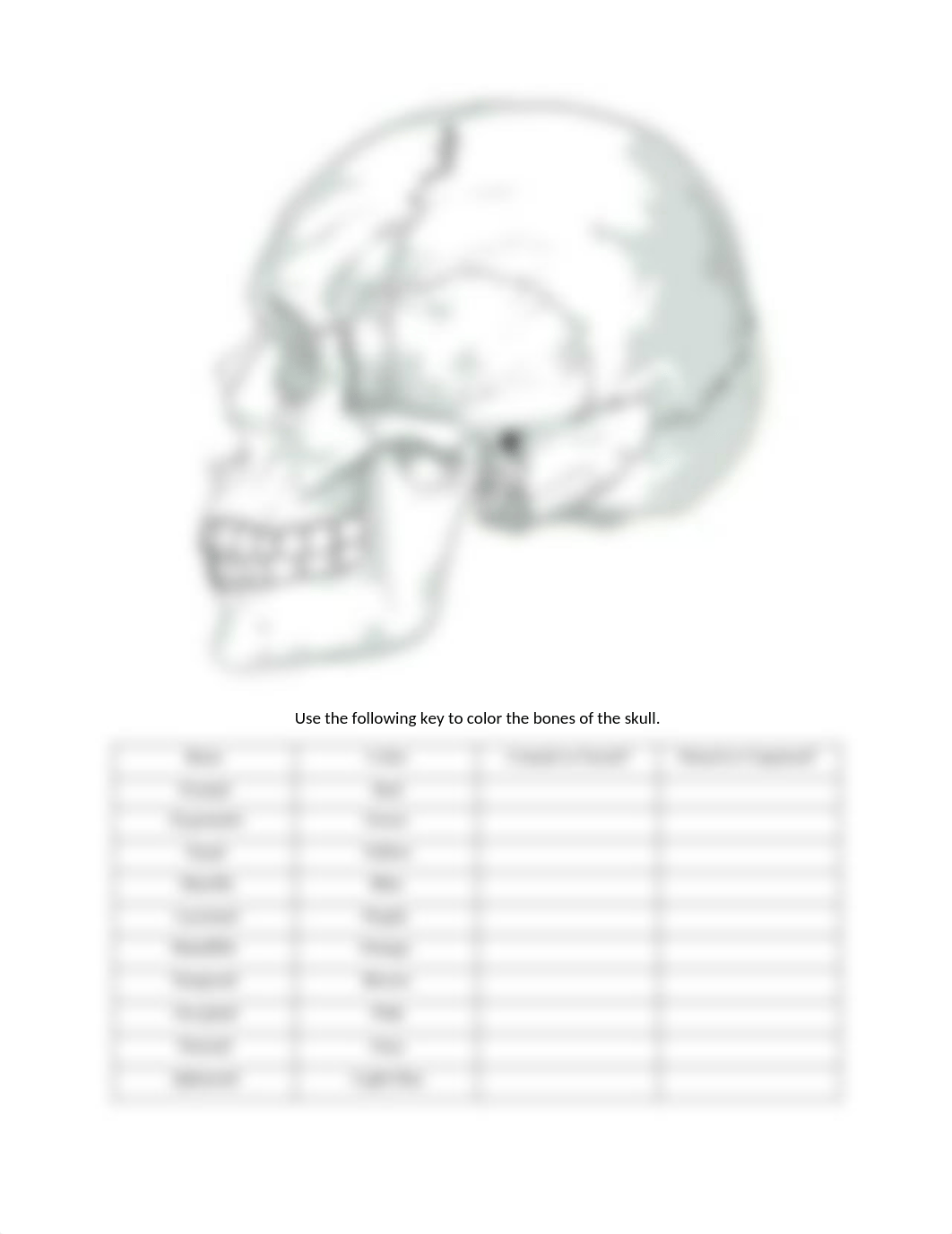 Skull Coloring Worksheet.pdf_d6vg1e2wjv9_page2