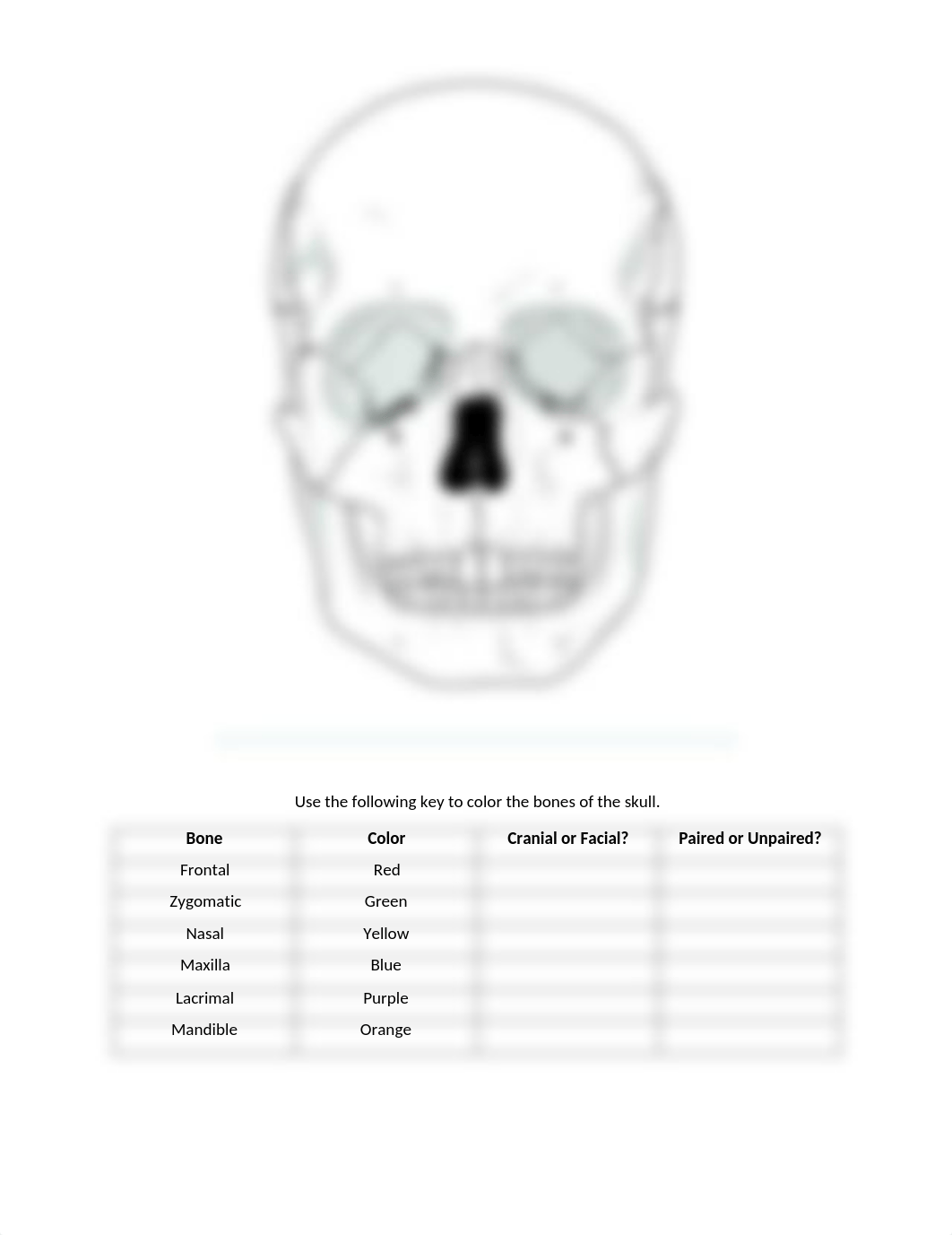 Skull Coloring Worksheet.pdf_d6vg1e2wjv9_page1