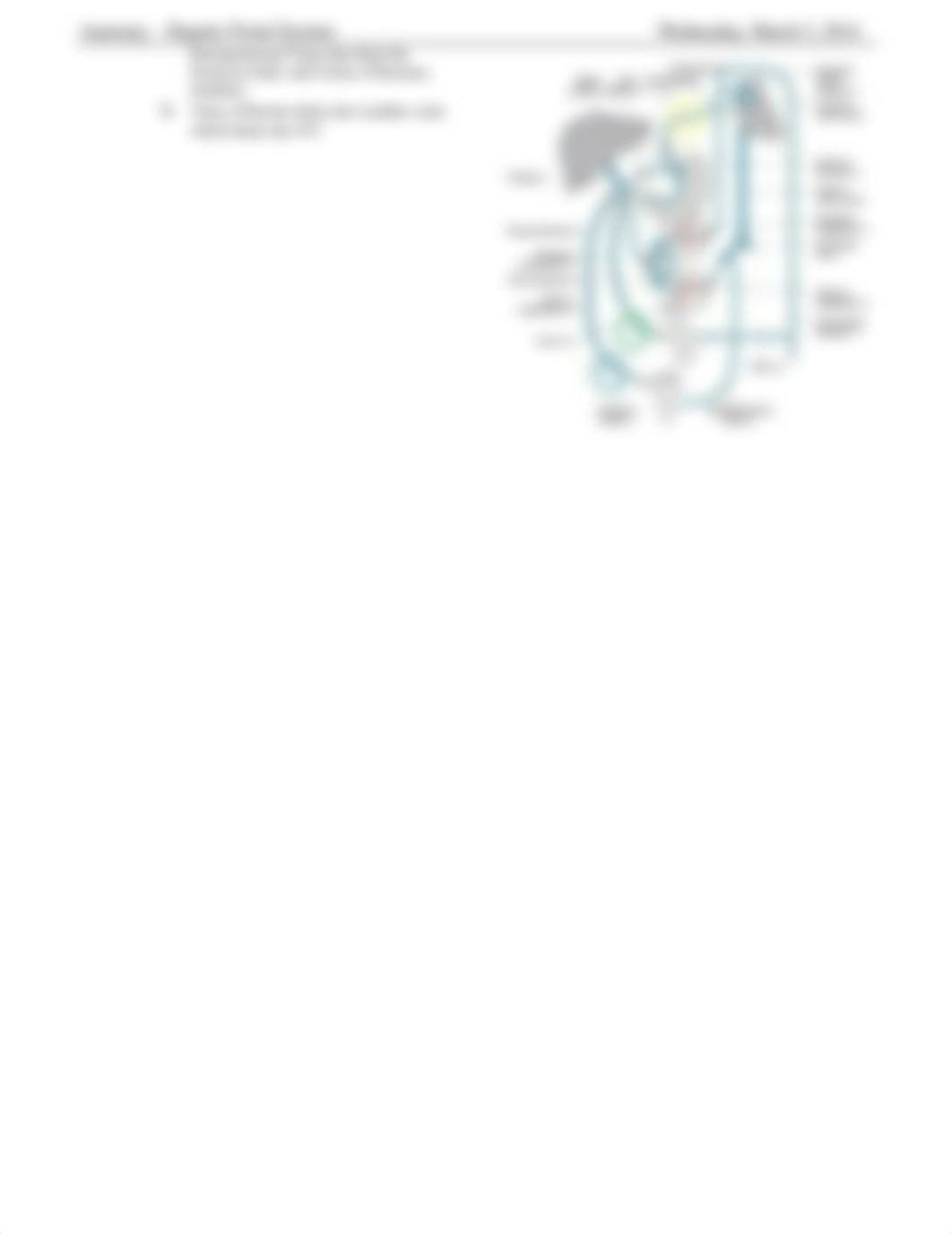 Anatomy - Hepatic Portal System_d6vlnbg9702_page3