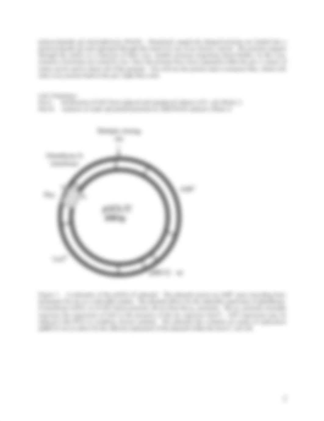 Lab 4 Protein Expression and Analysis 2020 (1).docx_d6vo5b0e3g6_page2