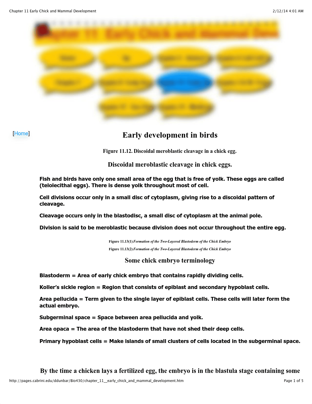 Chapter 11 Early Chick and Mammal Development_d6vqkane4a3_page1