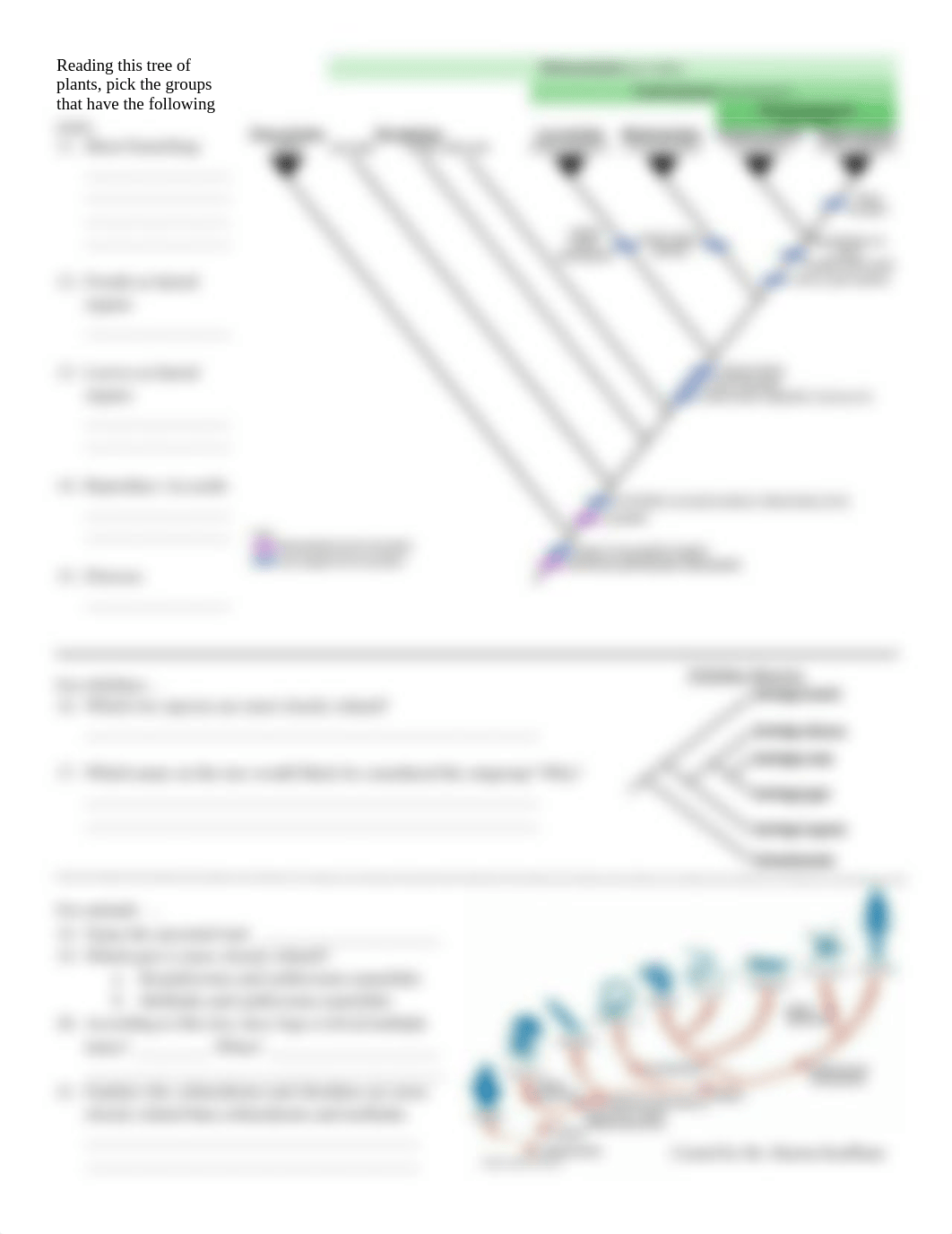 Analyzing_Phylogenetic_Trees_d6vrivjtvv9_page2