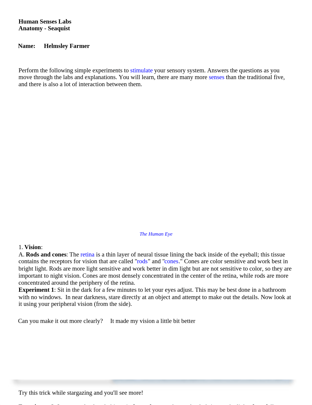 Copy of Human Senses Lab 2021.docx_d6vsj385b7r_page1