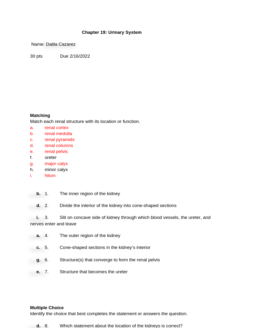 Chapter 19_ Urinary System.docx_d6vvneszdw4_page1