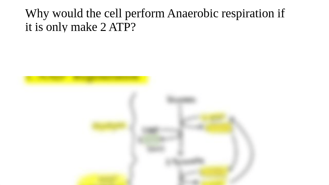 Carbohydrates Recorded Cohort Part 2 Slides.pdf_d6w45cz7f00_page5