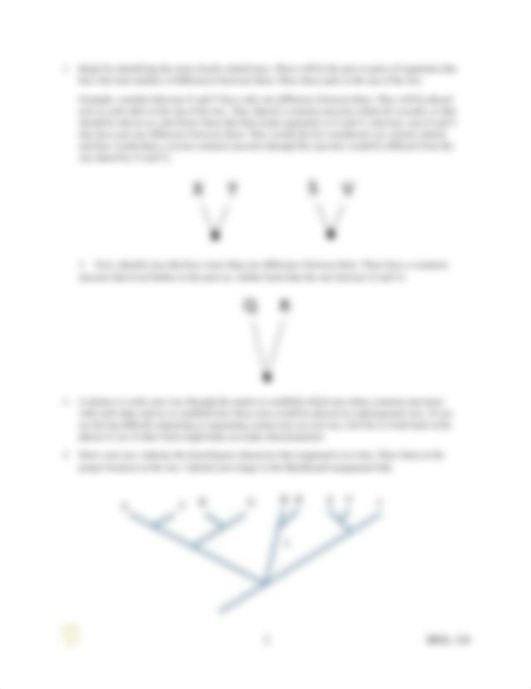 BIOL-126_Lab_3_part2 (1).pdf_d6w9lxj0fox_page2