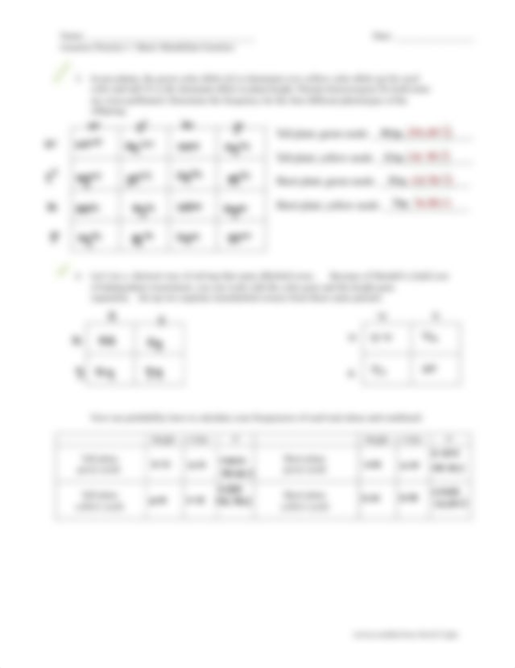 Genetics Practice 1 - Basic Mendelian Genetics.pdf_d6wi7u9q171_page2