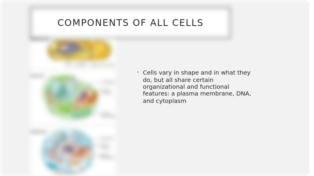 BIO Chapt04 Inside the Cell.pptx_d6wneaseu9e_page4