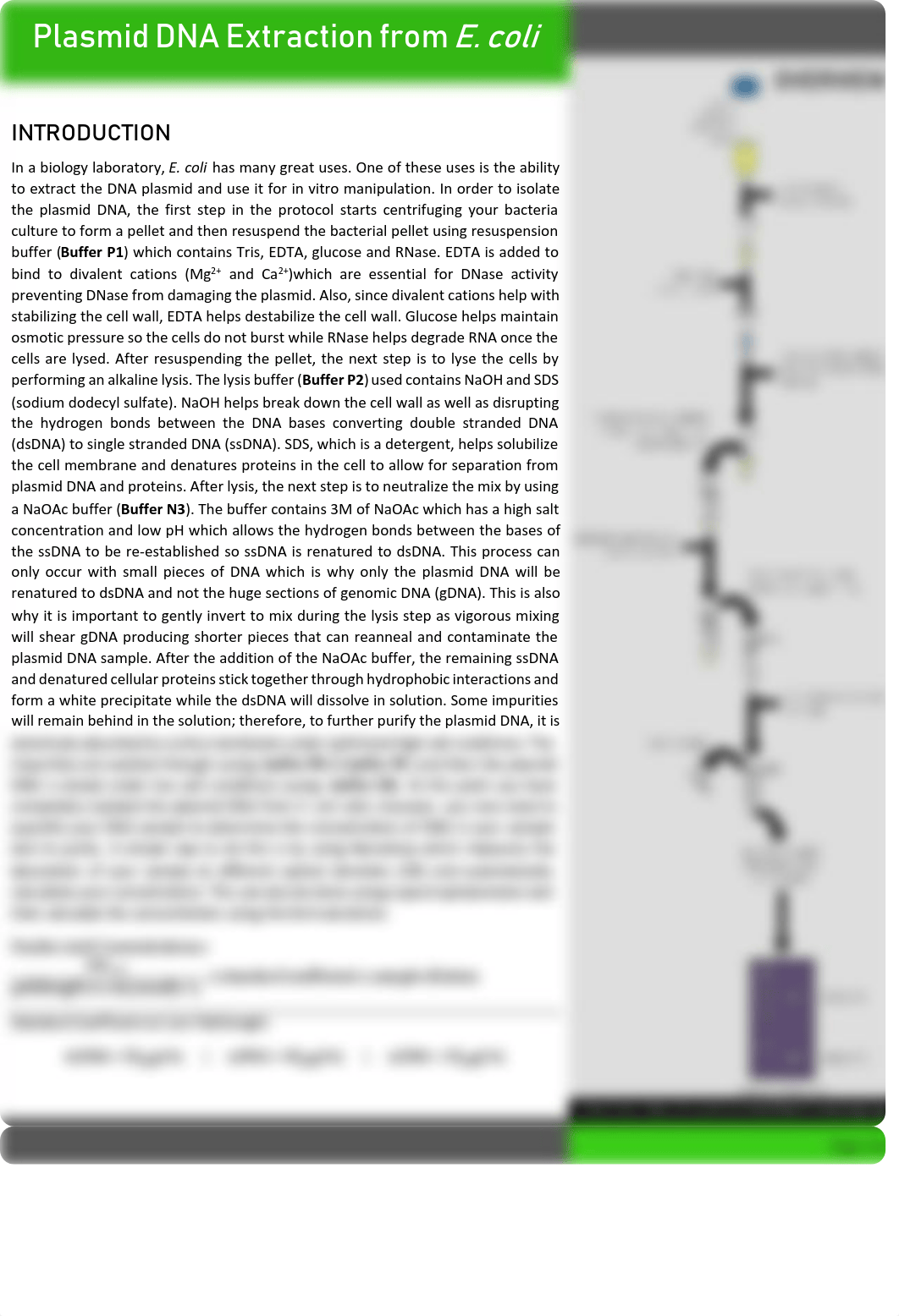 DNA Extraction Protocol.pdf_d6wwt7i49zj_page1