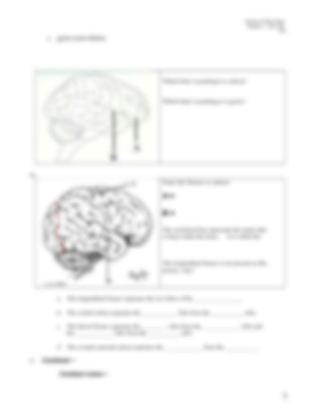 study_guide_CNS_part2.doc_d6wxio7woii_page3