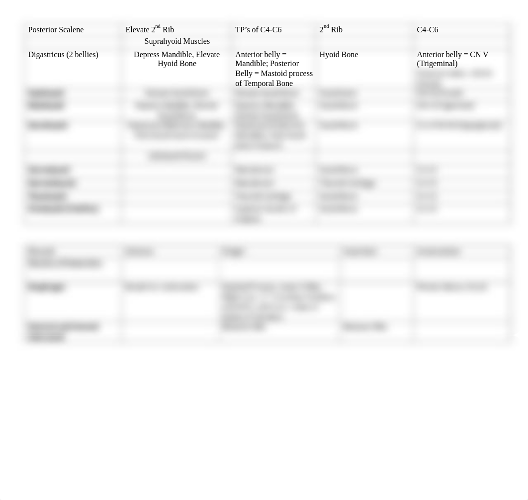 Muscle List pdf.pdf_d6wy5an2fxb_page3