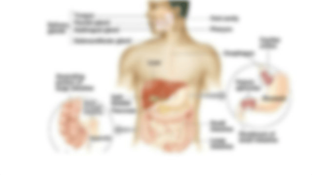 MODULE 6  Household Management, Nutrition and Hydration.pdf_d6x2kq1yzxw_page3