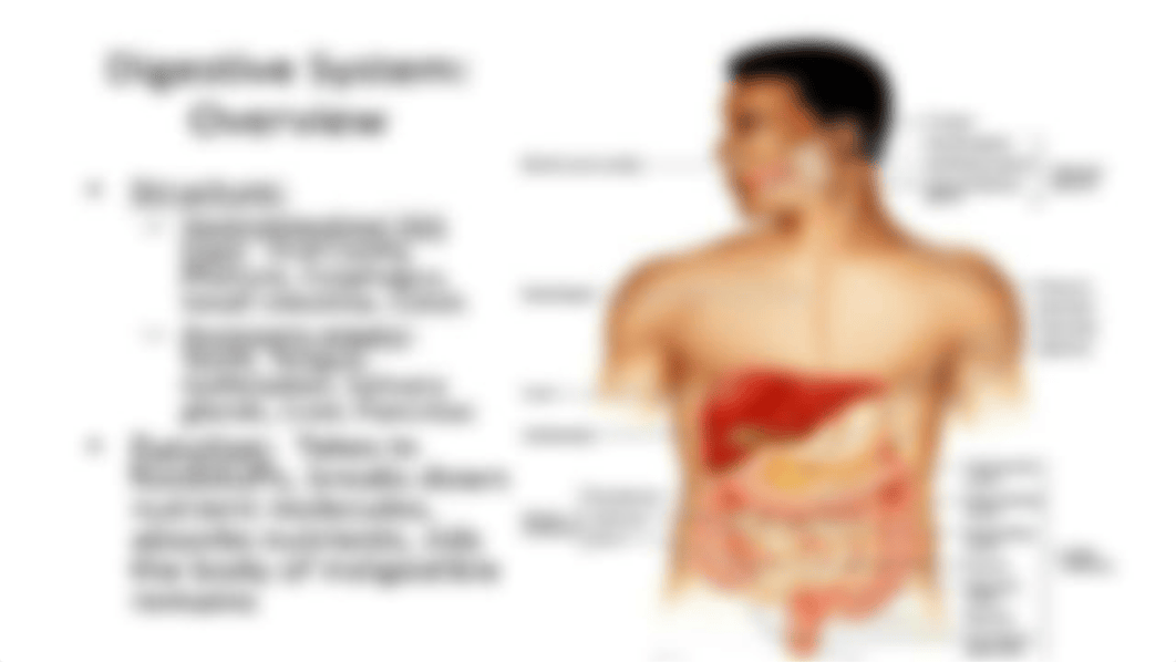 MODULE 6  Household Management, Nutrition and Hydration.pdf_d6x2kq1yzxw_page2