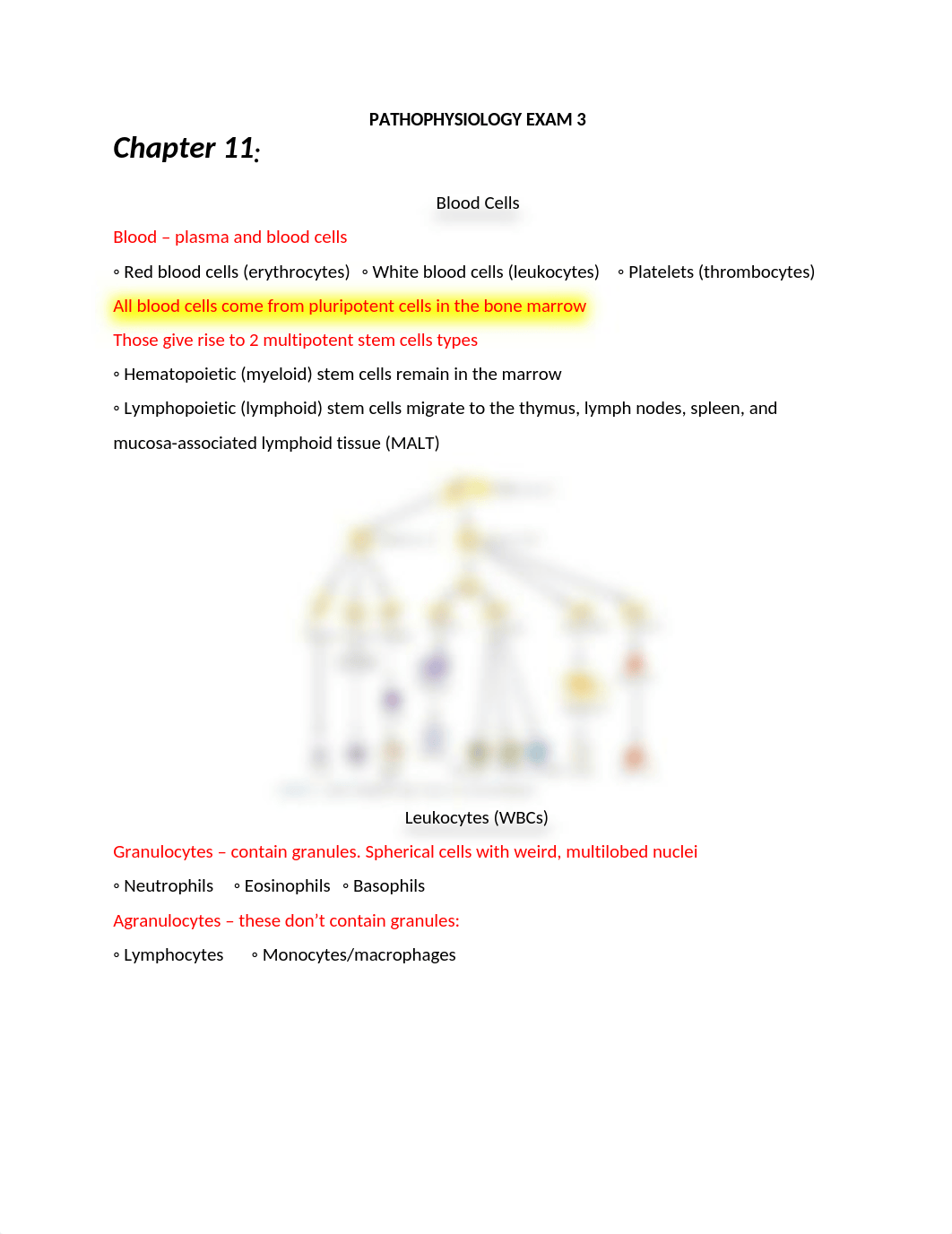 PATHOPHYSIOLOGY EXAM 3.docx_d6xbkvfk3i9_page1