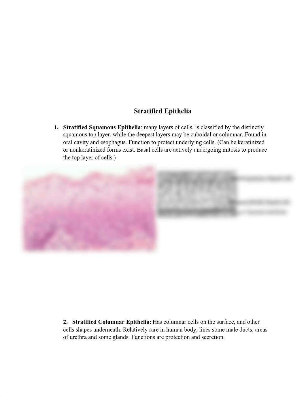 MCB lab study guide.pdf_d6xds9scrj8_page4