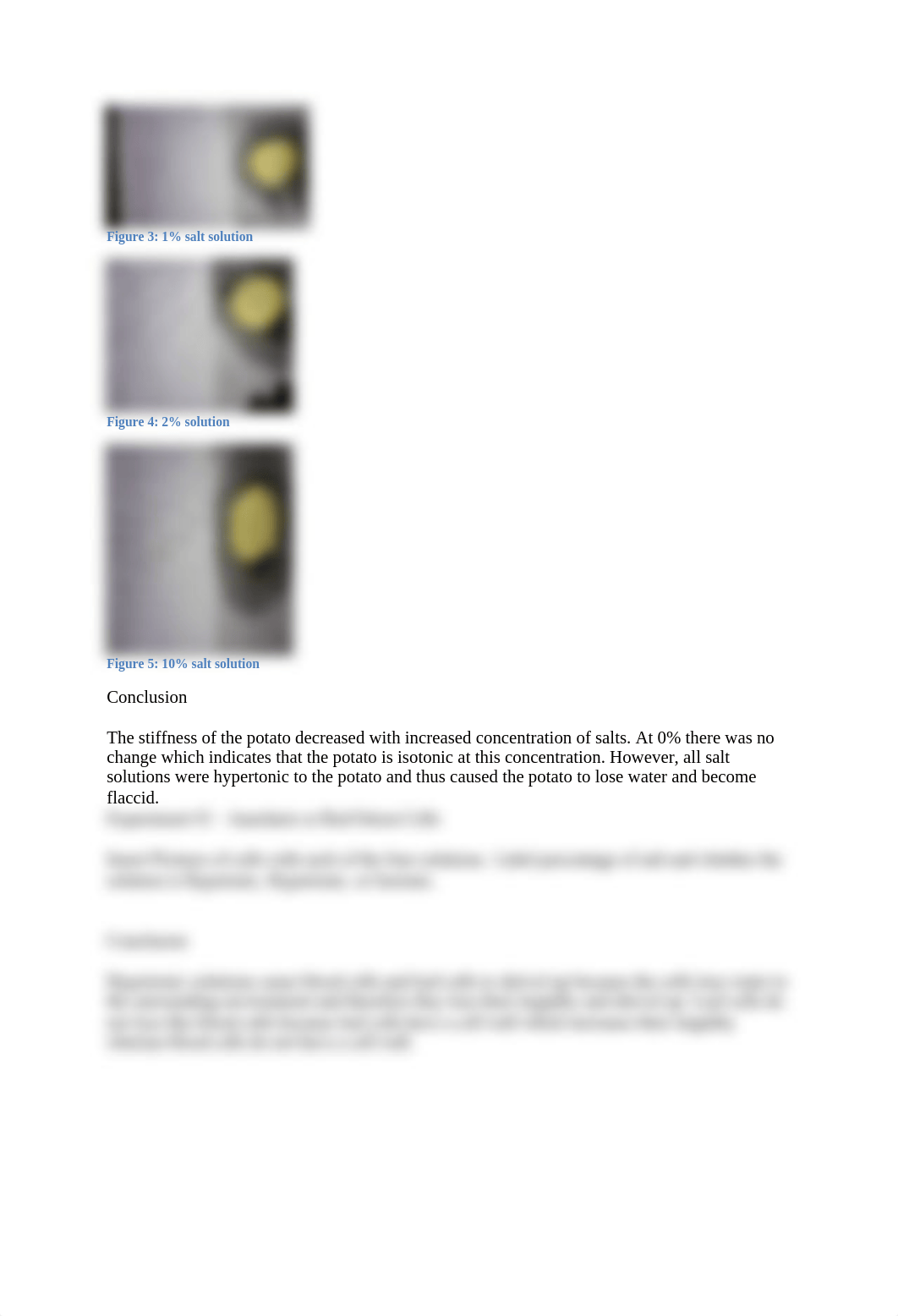 Cell Transport Worksheet.docx_d6xi0pprd96_page2