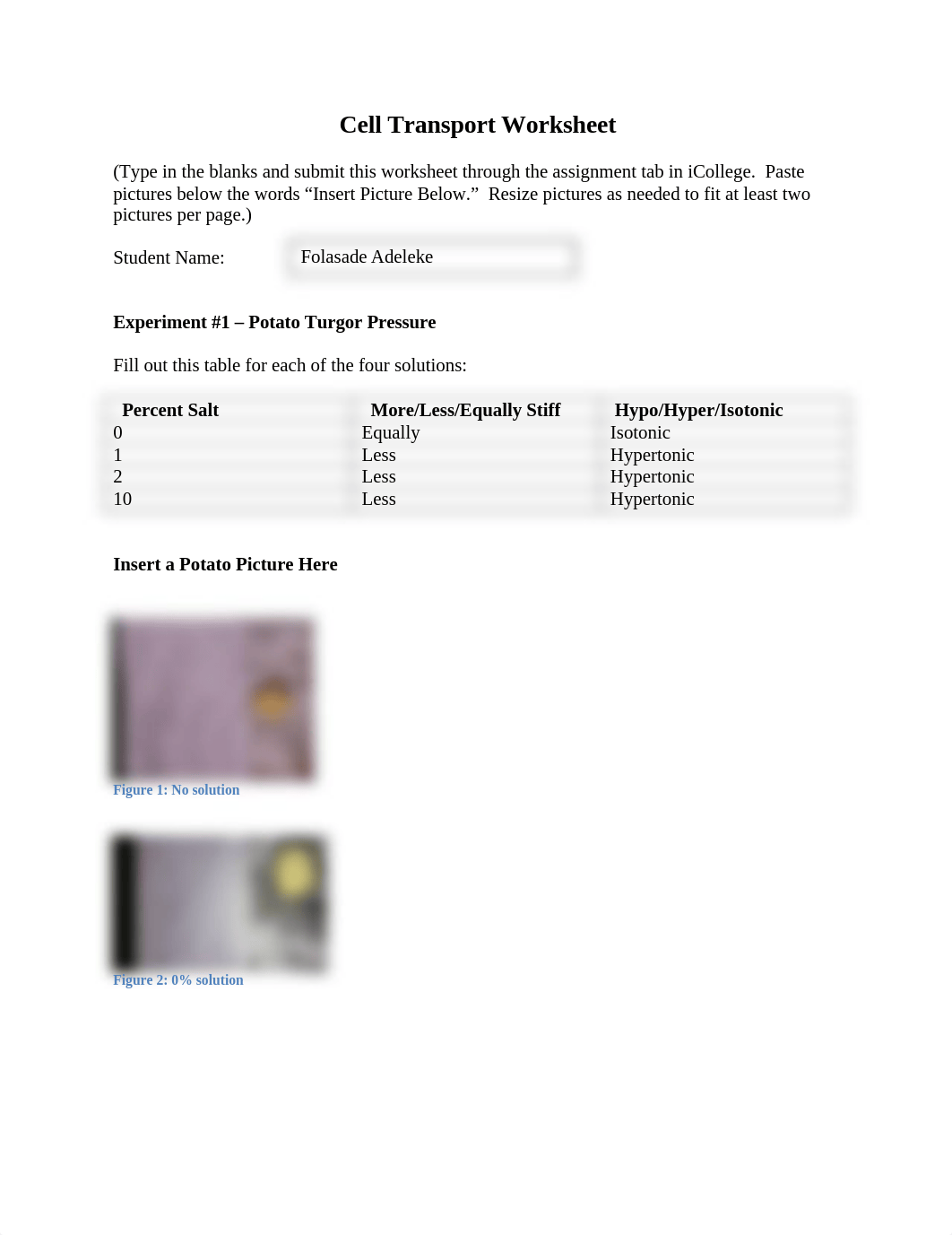 Cell Transport Worksheet.docx_d6xi0pprd96_page1