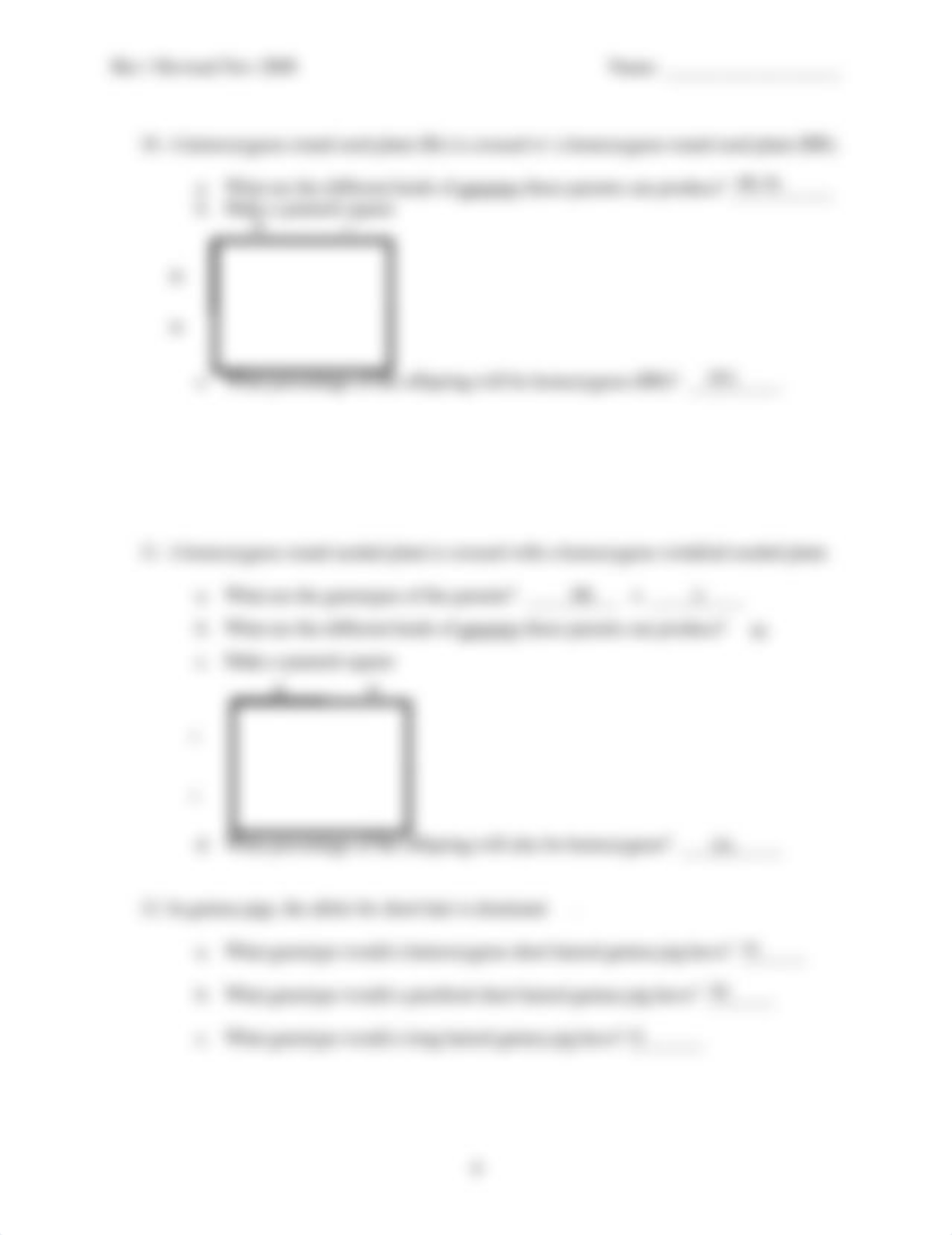 Genetics big worksheet.pdf_d6xu672qgyq_page4