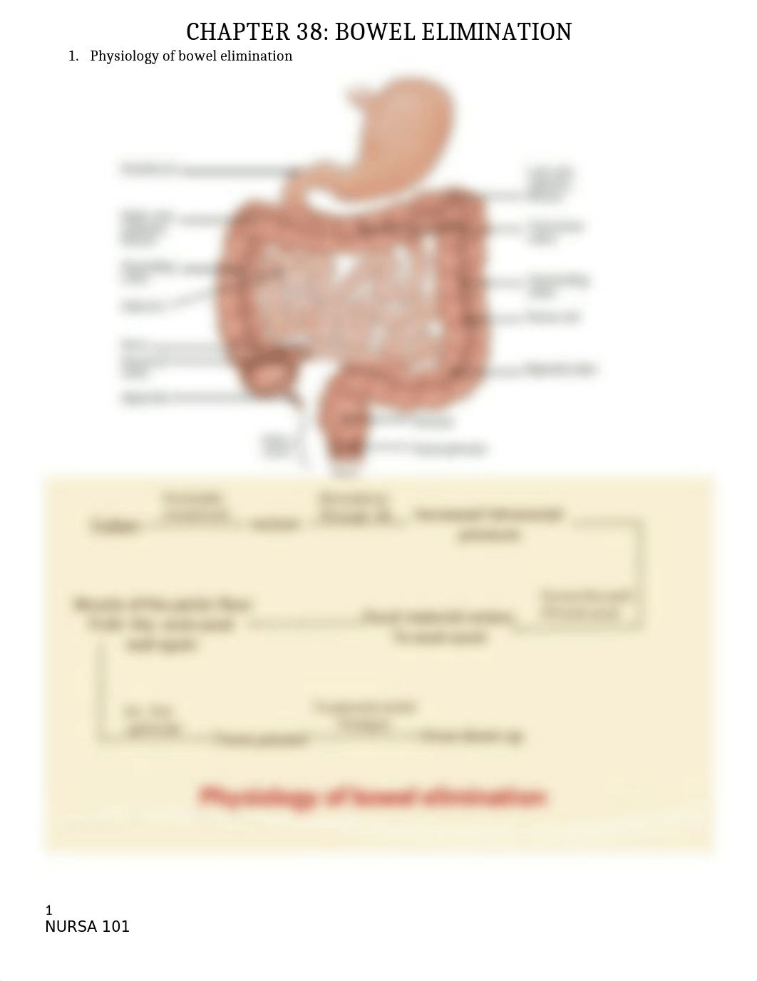 Ch. 38 Bowel Elimination.docx_d6yb4mgiibv_page1