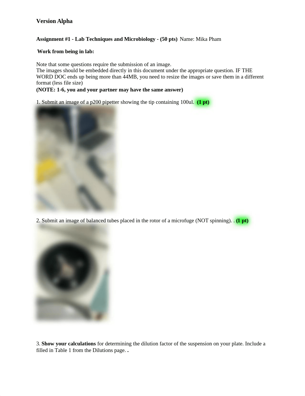 homework_1.docx_d6yjtkdn9a9_page1