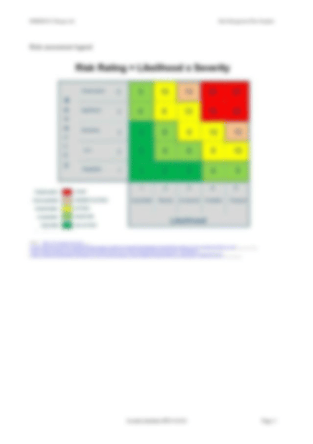 Risk Management Plan Template 08-11-16.doc_d6ykvlhiasy_page3