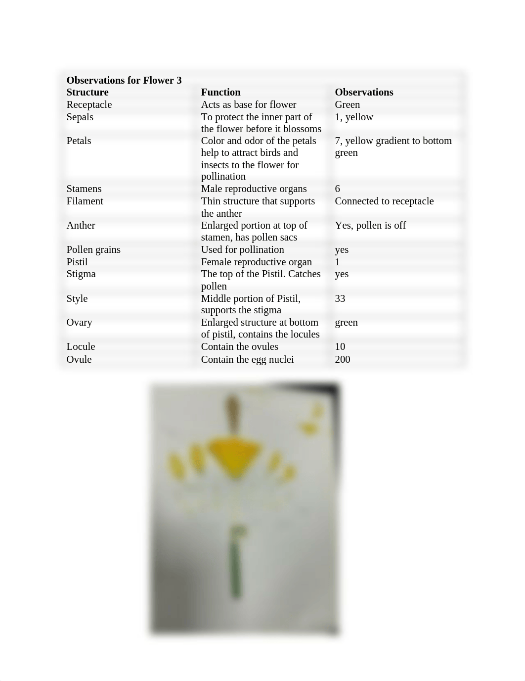 Flower Dissection Lab report.pdf_d6ypcnctcnq_page3