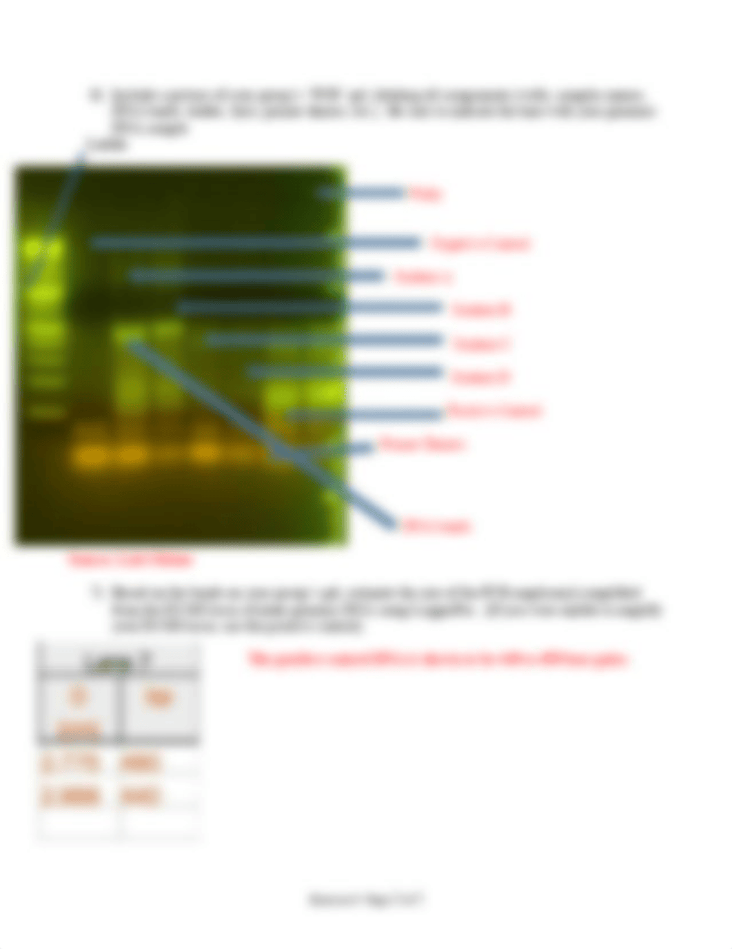 Ex06 Lab Analysis.pdf_d6yphgrmr32_page2