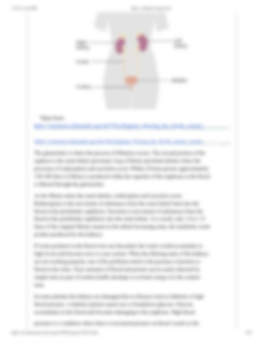 Quiz_ At-Home Urinary Lab.pdf_d6yuy4q9txz_page4