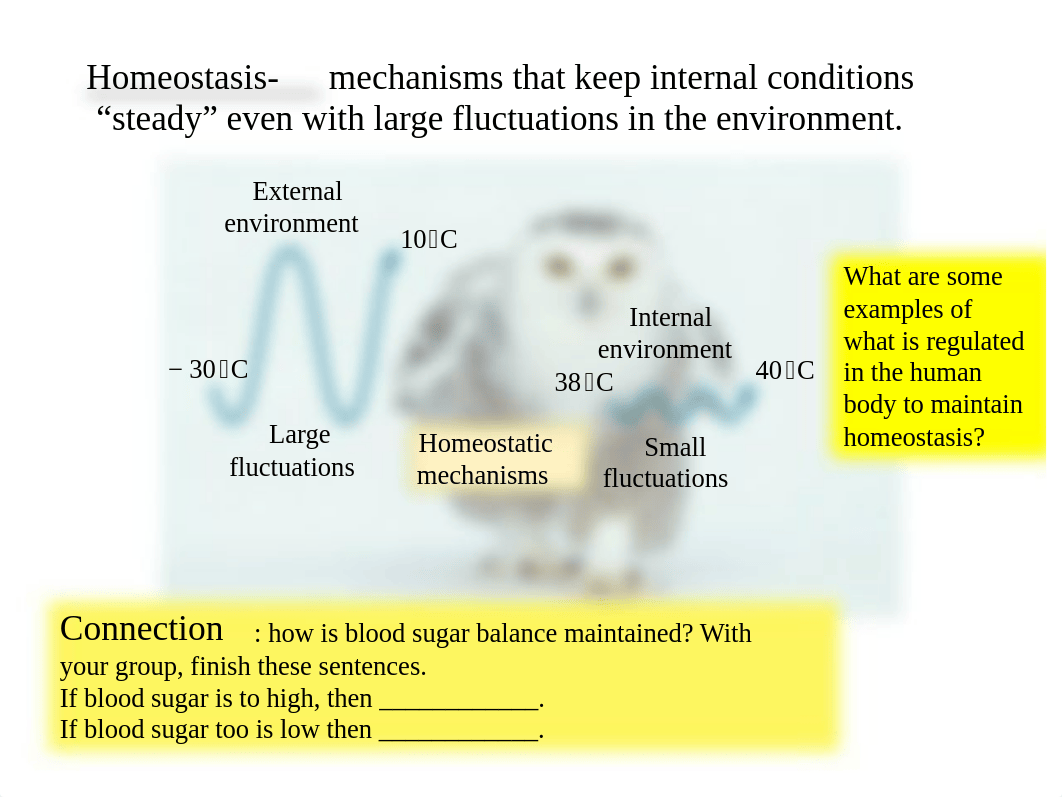 1_Immunity Spring 2018.ppt_d6ywraz5lim_page5