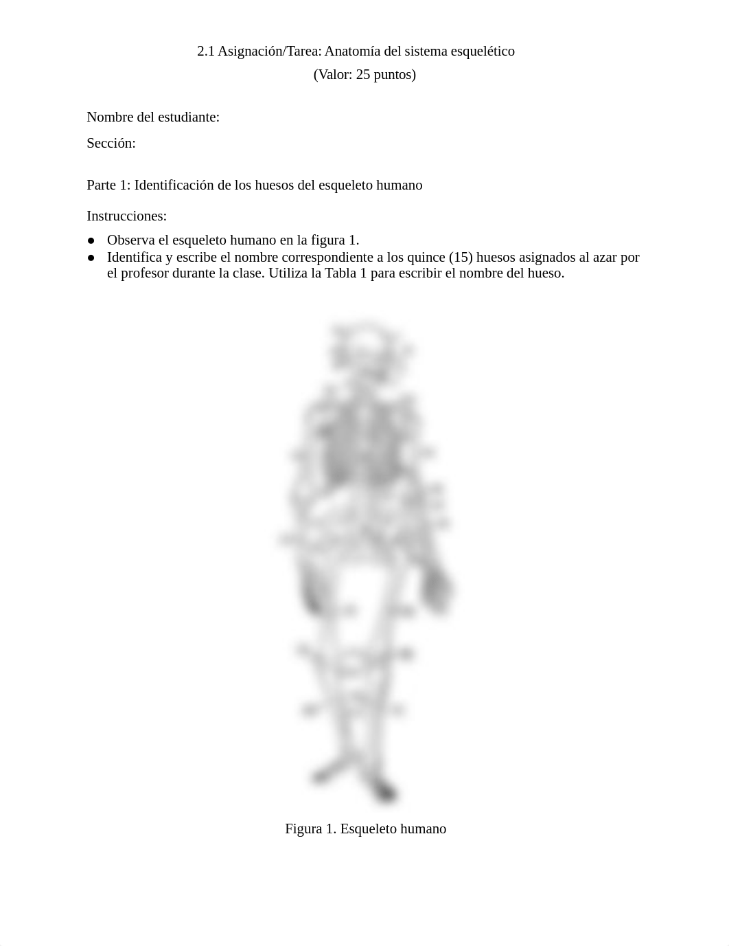 M2_ANATOMIA_SISTEMA_ESQUELETICO_TAREA_2-1.docx_d6yzo9pyb2w_page1