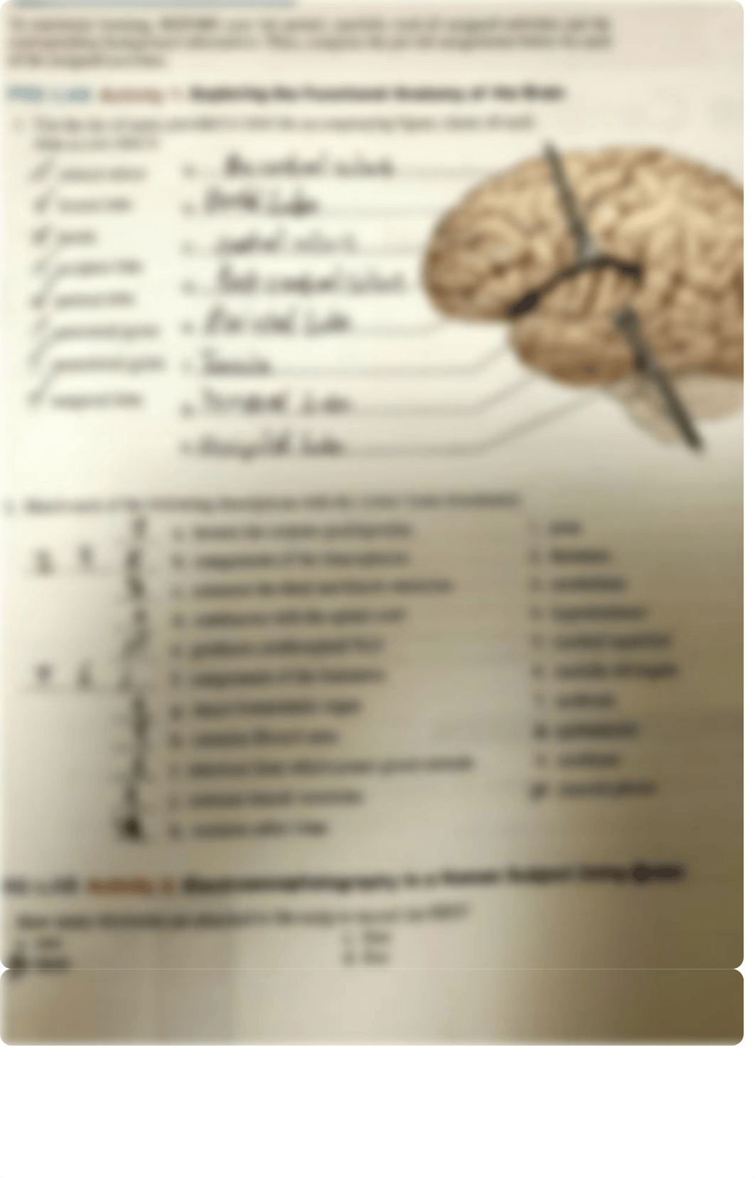 Pre-Lab Unit 15.pdf_d6z3qjgjup7_page1