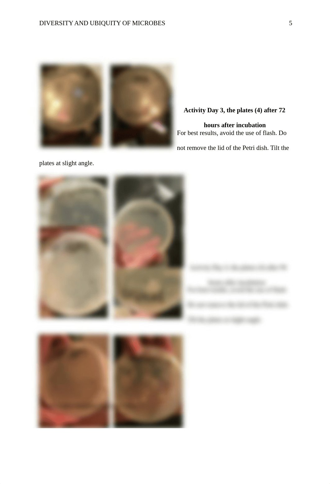 Diversity_and_Ubiquity_of_Microbes_answer_sheet.doc_d6z7cors4hh_page5