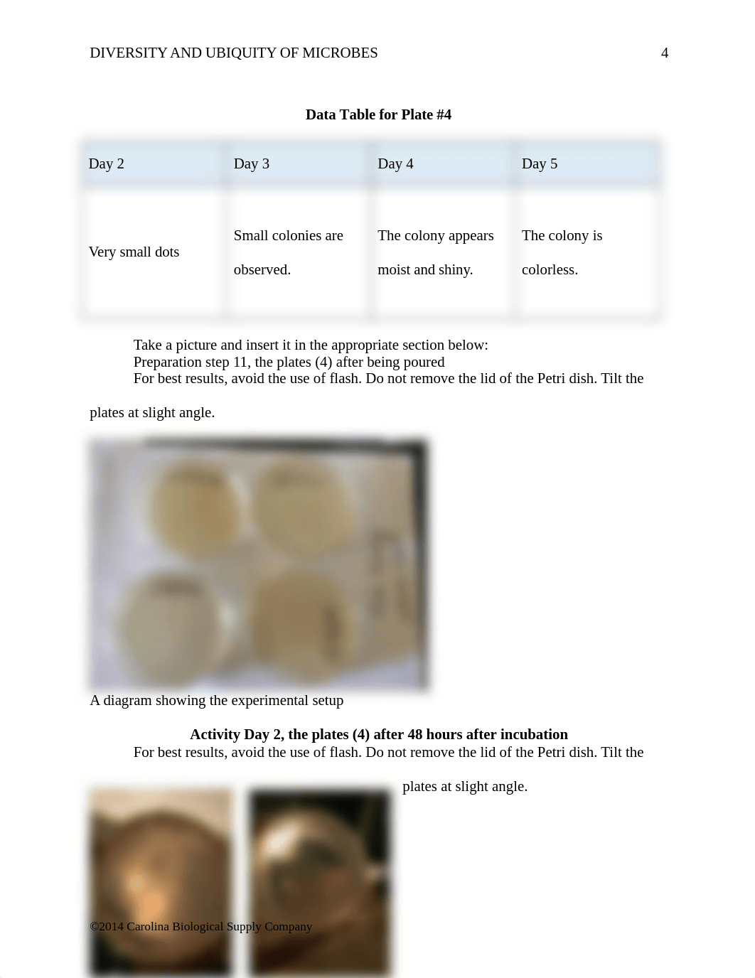 Diversity_and_Ubiquity_of_Microbes_answer_sheet.doc_d6z7cors4hh_page4