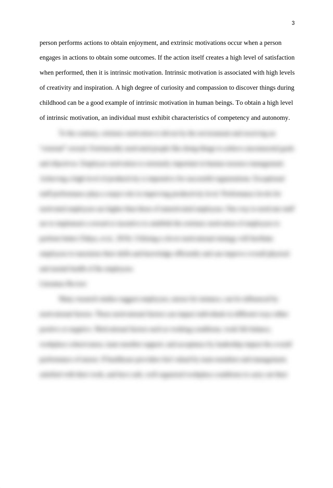 concept motivation paper.docx_d6zbvutacz8_page3