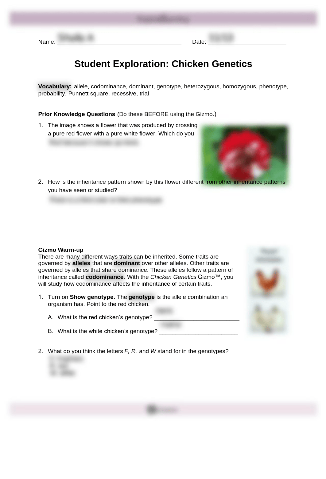 GIZMOS+Chicken+Genetics+Lab (2).pdf_d6zqbjmuve7_page1