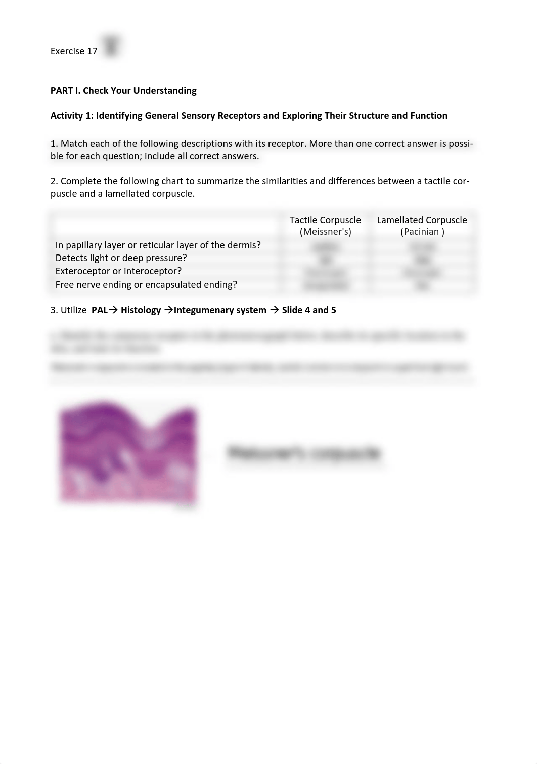 9. Unit 9 laboratory exercise 17 Sims.pdf_d6zwccgjgd1_page1