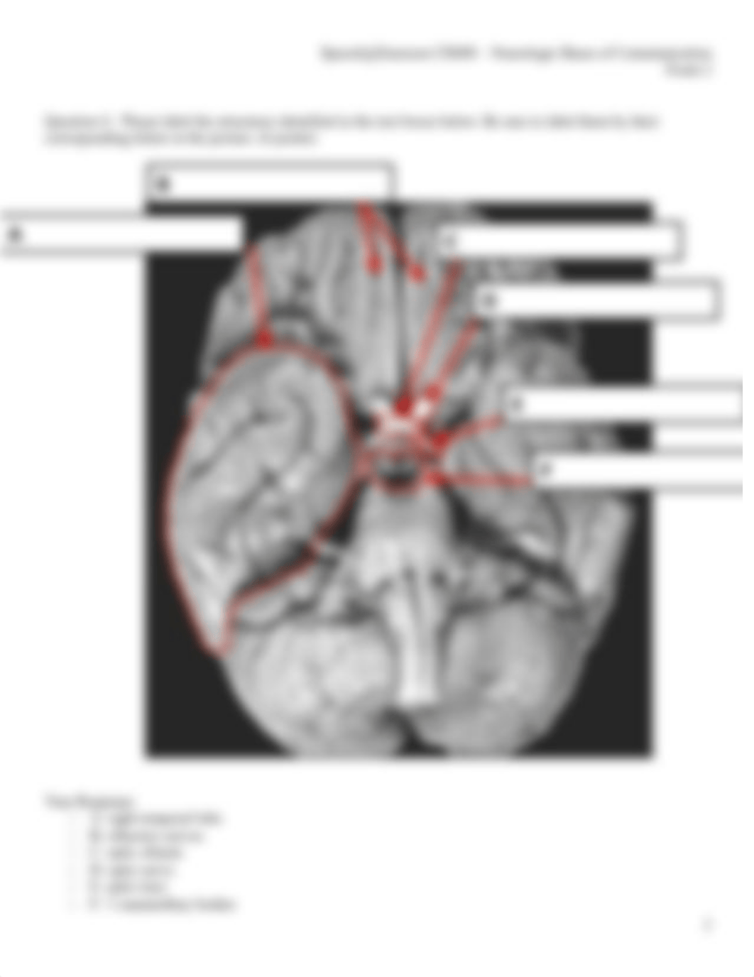 Exam 2.docx_d6zwulrgfgi_page3