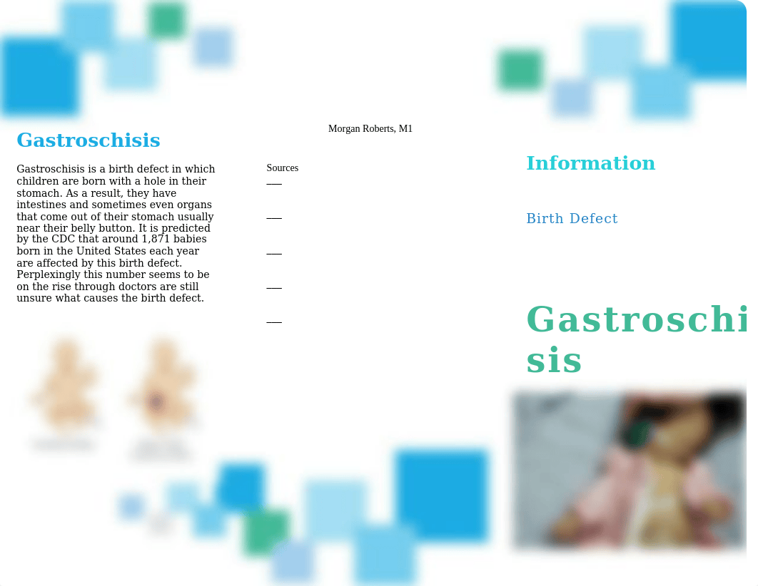 Gastroschisis.docx_d6zxx4amtjh_page1